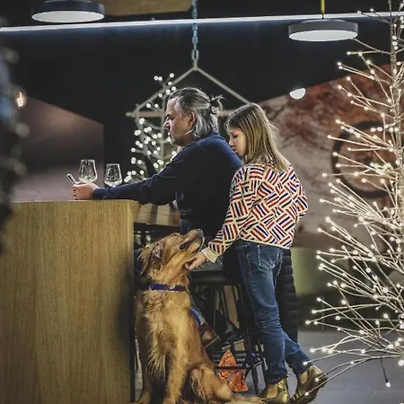 بيت خشبي Aves Hotel&apartment *