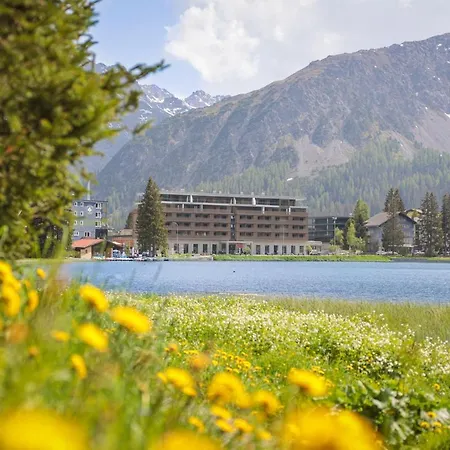 Lodge Aves Arosa