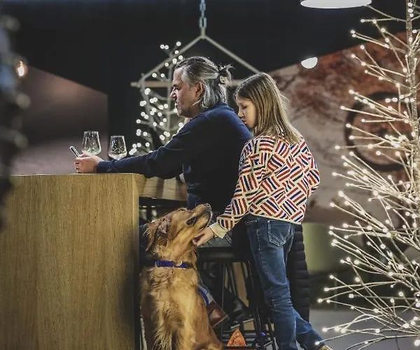 بيت خشبي Aves Hotel&apartment *