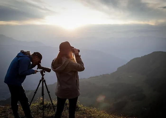 بيت خشبي Aves Hotel&apartment أروسا