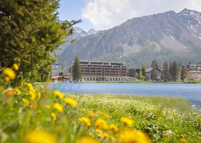 Alojamento de Turismo Selvagem Aves Hotel&apartment Arosa